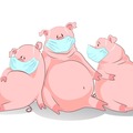 My Ham Sanitizer Three Little Piggies