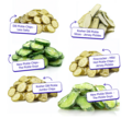 Freeze Dried Pickles Sampler Pack - Pickle Lovers Bundle Gift Pack (6 Large Bags)