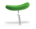 Pickle Cork Screw