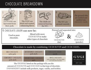 Chocolate 101: How Chocolate Is Made!